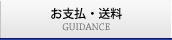 GUIDANCE