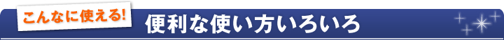 ʤ˻Ȥ롪Ȥ